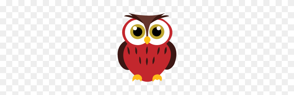 Red Owls, Animal, Beak, Bird, Baby Png