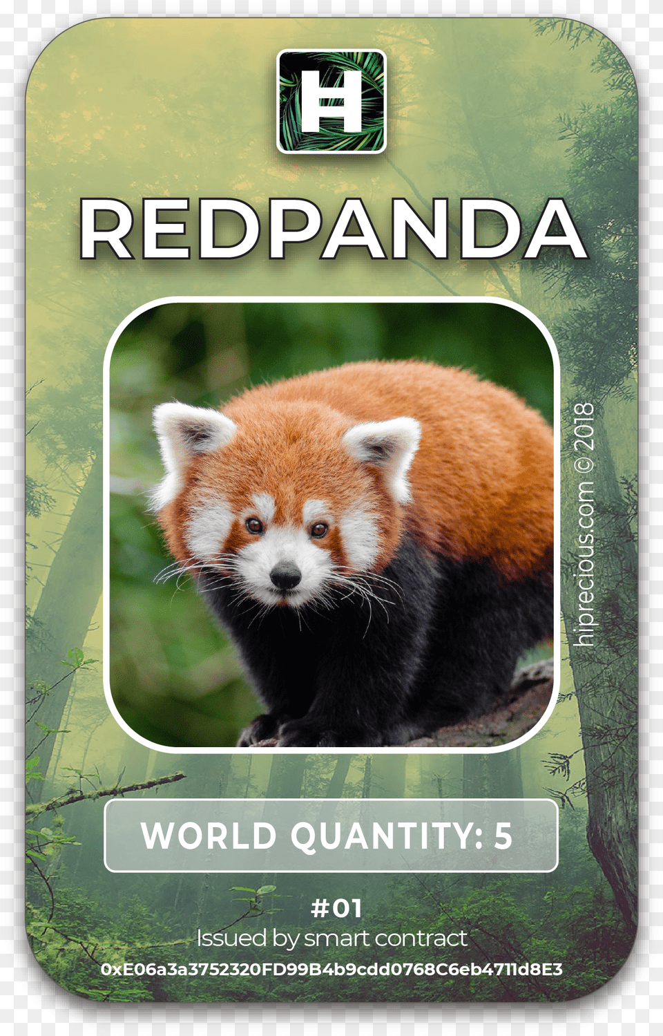 Red Panda, Animal, Bear, Mammal, Wildlife Free Png Download
