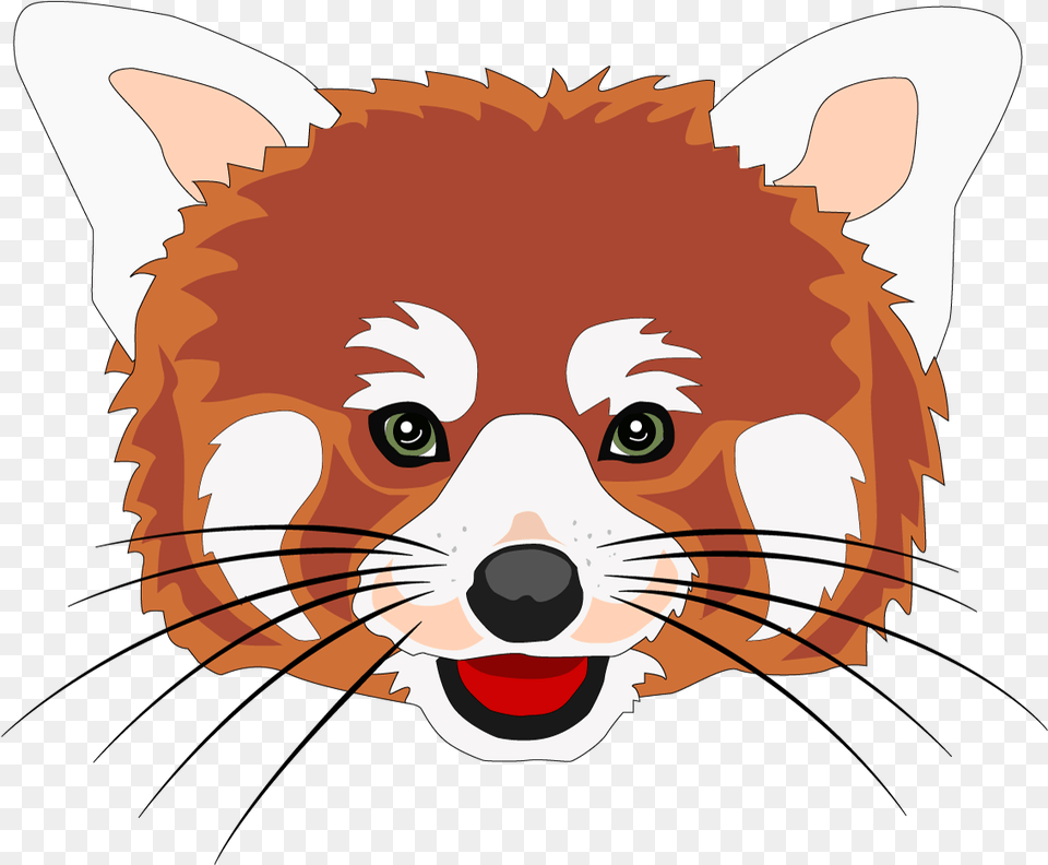 Red Panda Head, Baby, Person, Face, Animal Png