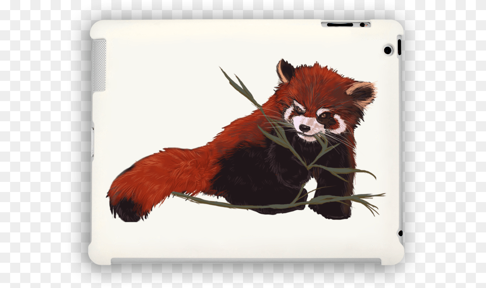 Red Panda Love Ipad Case Red Panda, Animal, Cat, Mammal, Pet Free Transparent Png