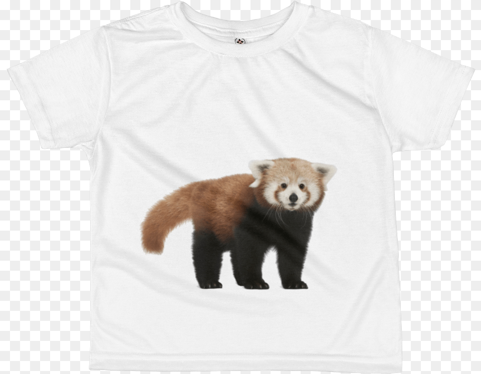 Red Panda Print All Over Kids Sublimation T Shirt Raglan Sleeve, Clothing, T-shirt, Animal, Canine Png Image