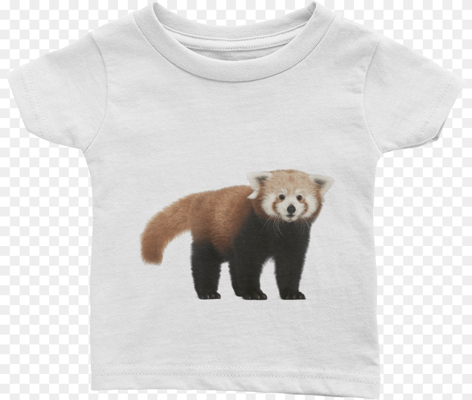 Red Panda Print Infant Tee Fisher, Animal, Bear, Clothing, Mammal Free Transparent Png