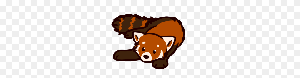 Red Panda Transparent, Animal, Mammal, Wildlife, Pig Png