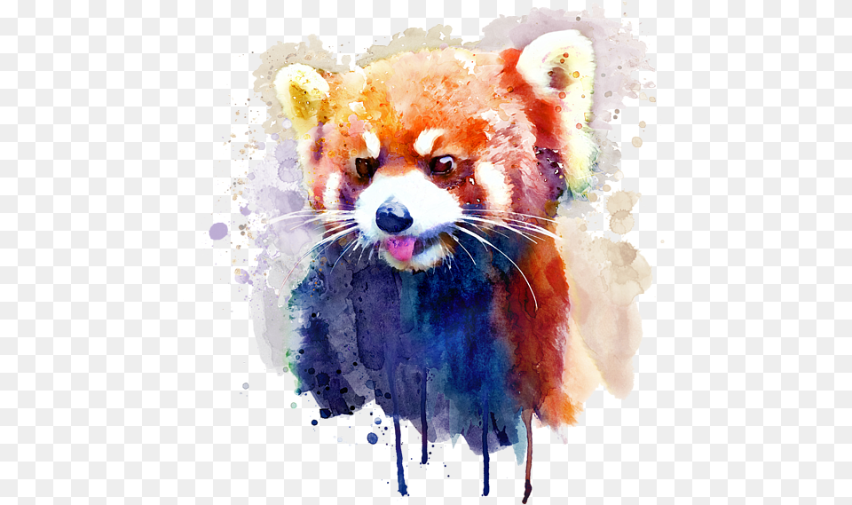 Red Panda Watercolor Painting, Animal, Mammal, Lesser Panda, Wildlife Free Png Download