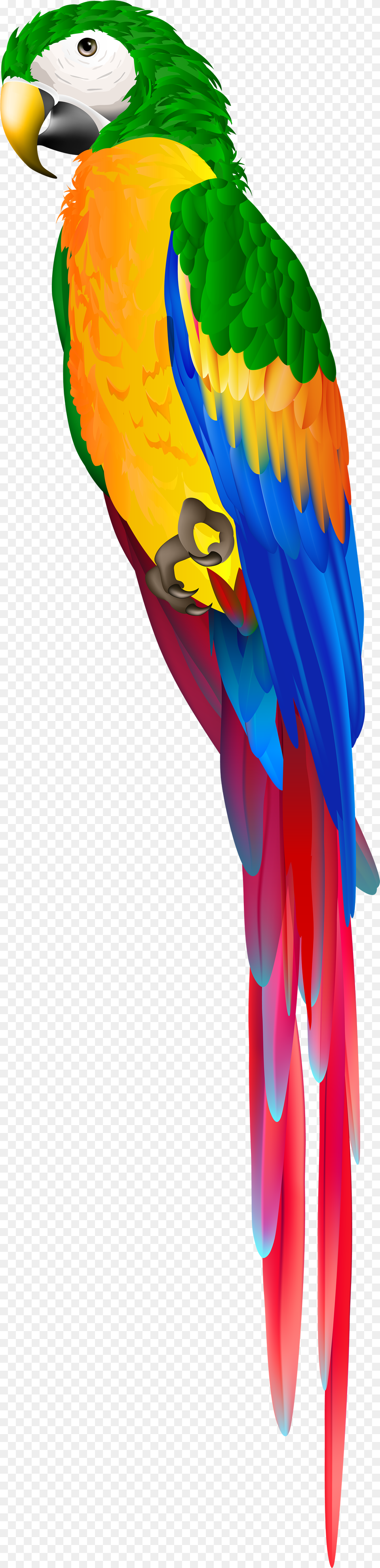 Red Parrot Clipart Parrot, Animal, Bird, Macaw Free Png Download