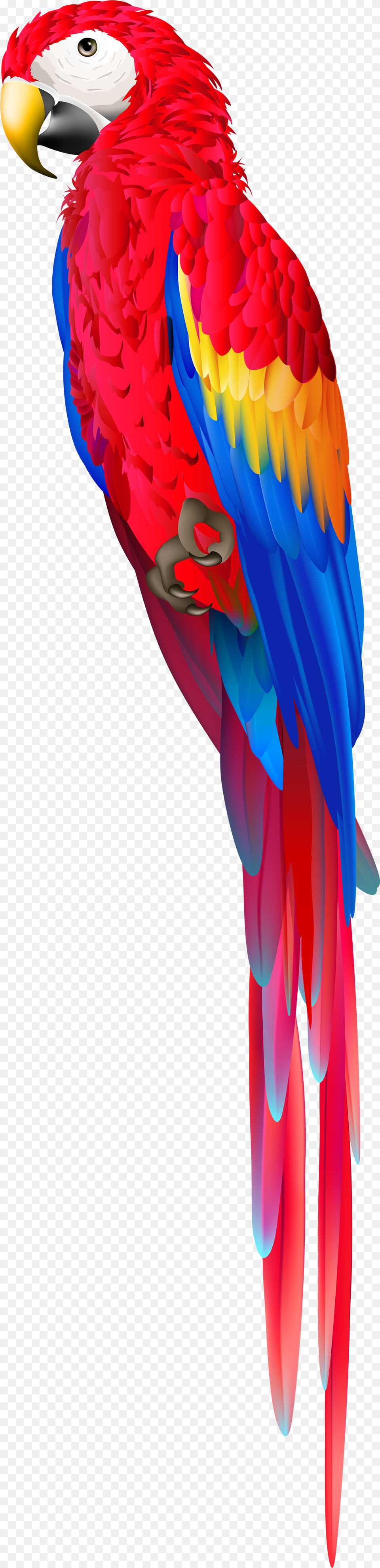 Red Parrot Clipart Transparent Red Parrot, Animal, Bird, Macaw Png Image