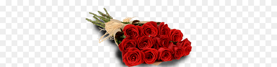 Red Passion One Dozen Dozen Of Roses, Rose, Plant, Flower Bouquet, Flower Arrangement Free Png
