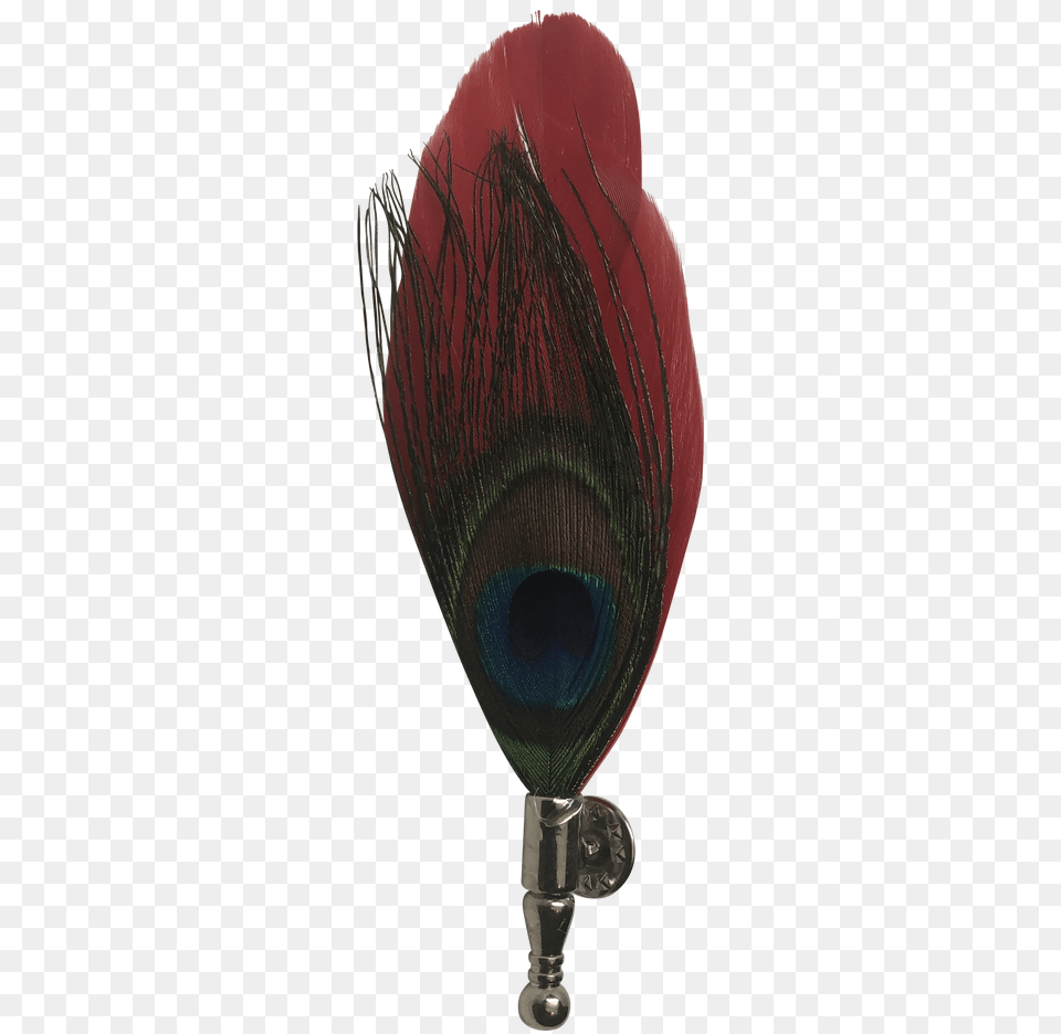 Red Peacock Feather Lapel Pin Bird, Lamp, Aircraft, Lampshade, Transportation Free Transparent Png