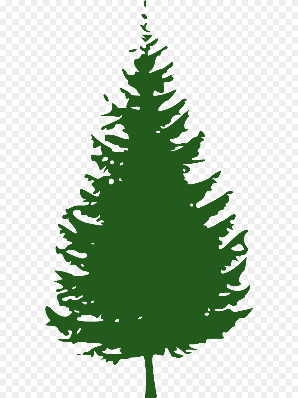 Red Pine Tree Clip Art, Plant, Fir, Green, Conifer Free Png