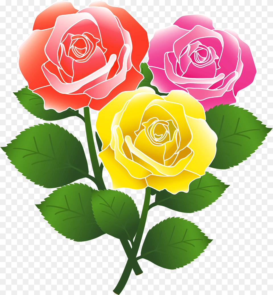 Red Pink And Yellow Roses Clipart, Flower, Plant, Rose Free Png
