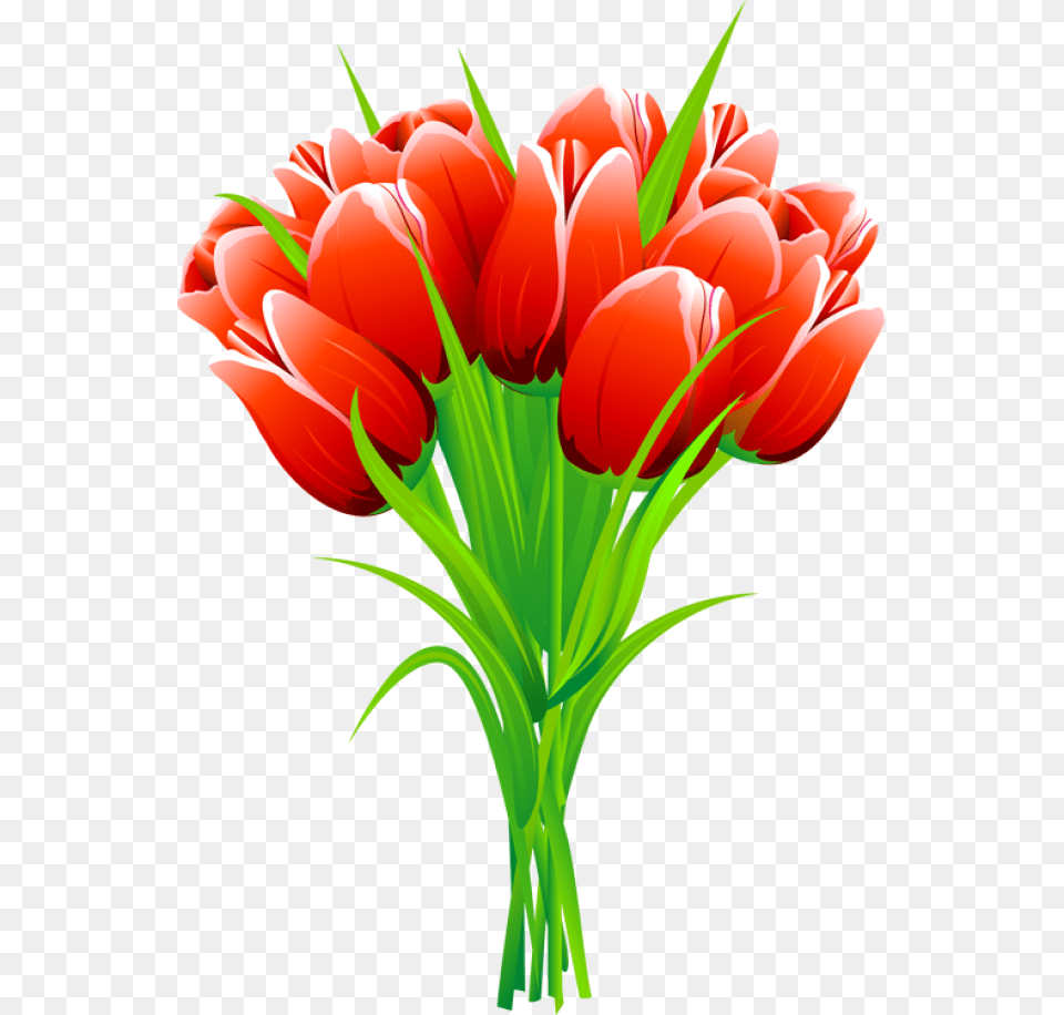 Red Pink And Yellow Tulips Clipart Pink Flower Bouquet Clipart, Plant, Tulip, Flower Arrangement, Flower Bouquet Free Transparent Png