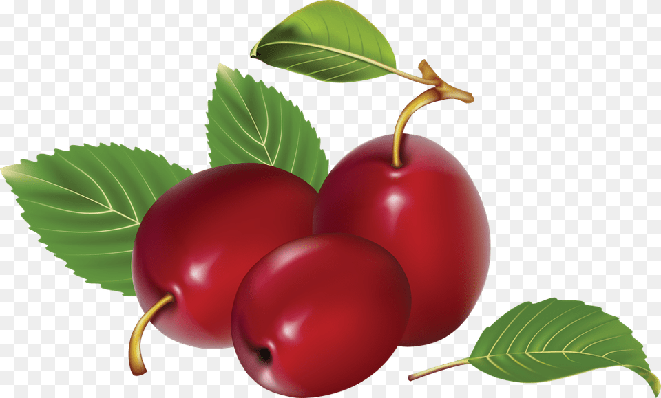 Red Plum Fruit Cartoon, Cherry, Food, Plant, Produce Free Transparent Png