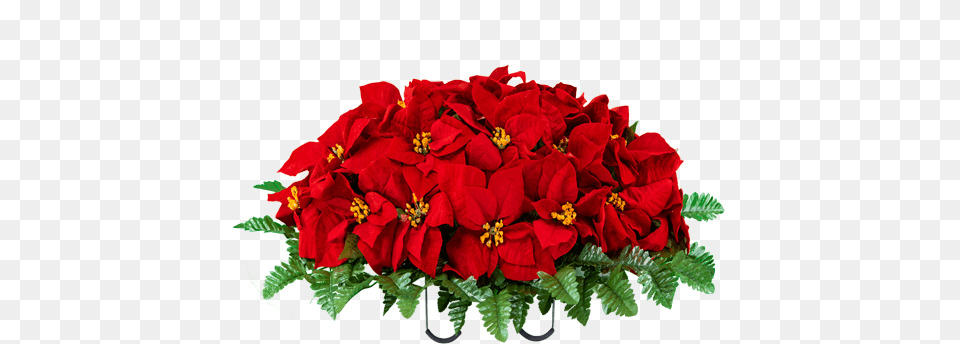Red Poinsettia Saddle Poinsettia, Geranium, Plant, Flower, Flower Arrangement Free Transparent Png
