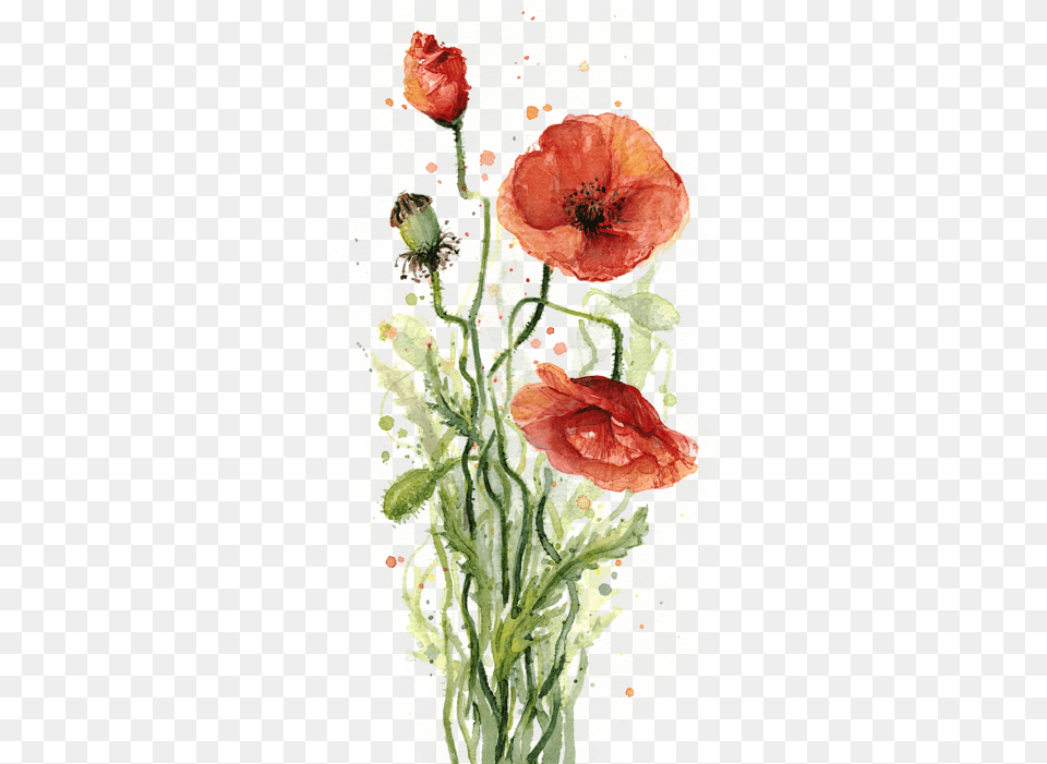 Red Poppies Watercolor Portable Battery Charger Water Color Painting Of Plants, Flower, Plant, Poppy, Rose Png