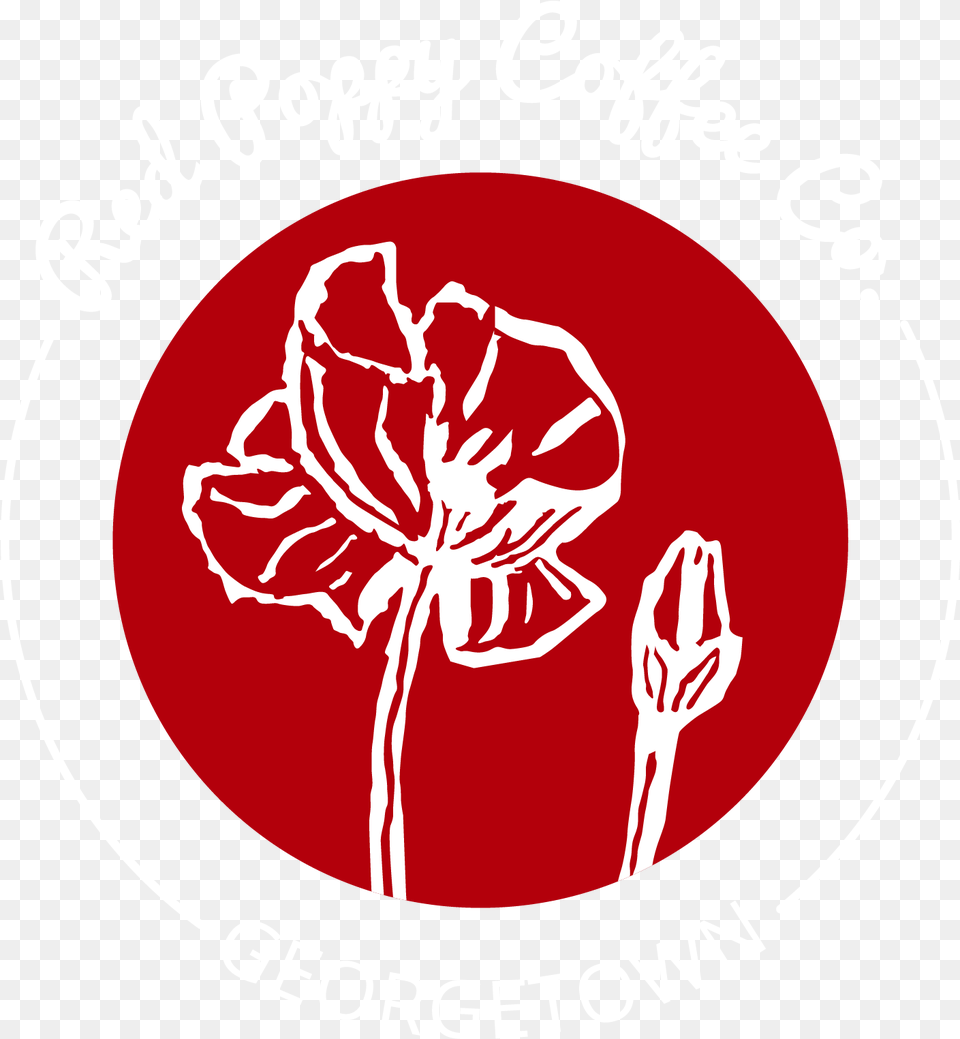 Red Poppy, Flower, Plant, Carnation, Petal Png Image