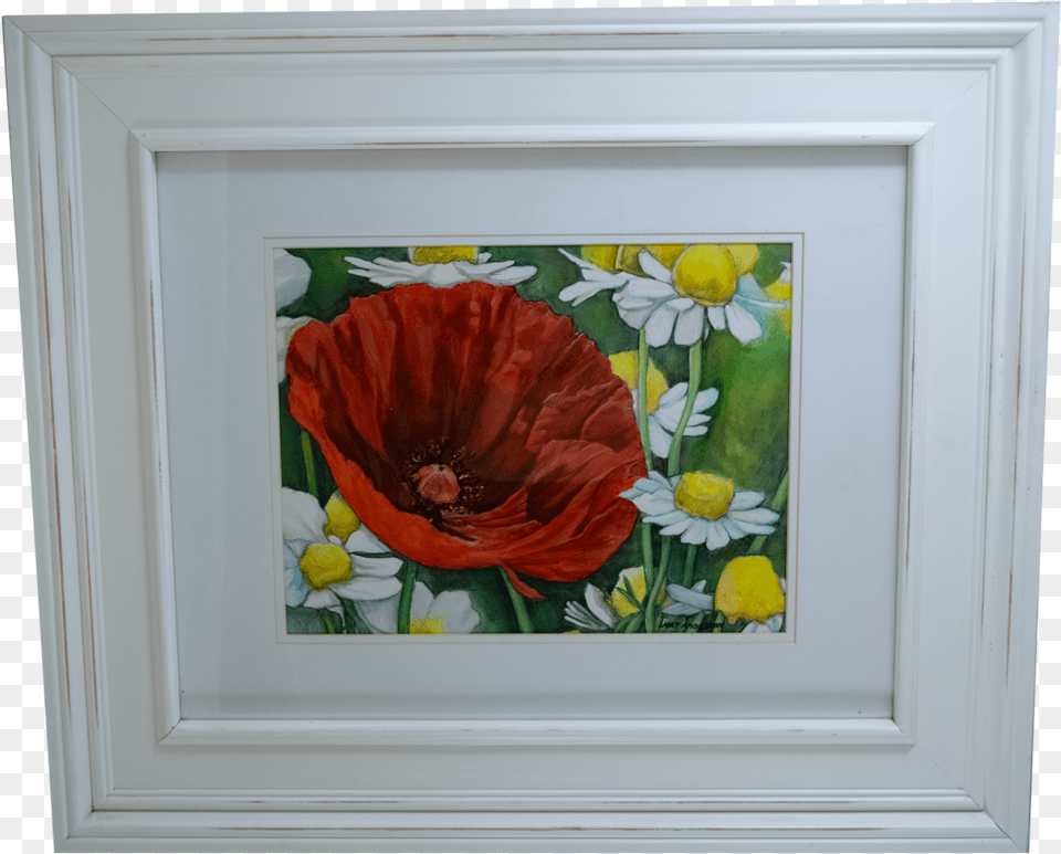 Red Poppy Picture Frame, Art, Painting, Flower, Plant Free Png Download
