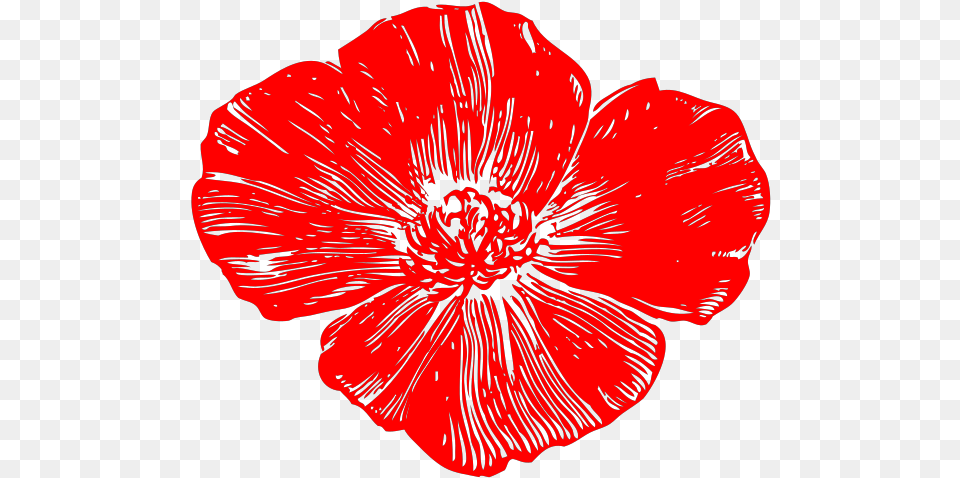 Red Poppy Svg Clip Art For Web Transparent Hot Pink Flowers, Flower, Petal, Plant, Adult Free Png