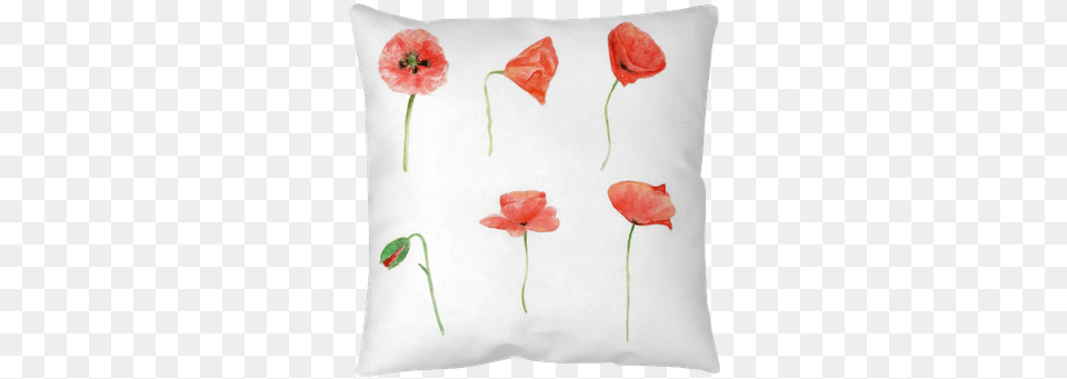 Red Poppy Watercolor Flower Collection Floral Hand Papavero Acquerello, Cushion, Home Decor, Plant, Pillow Free Transparent Png