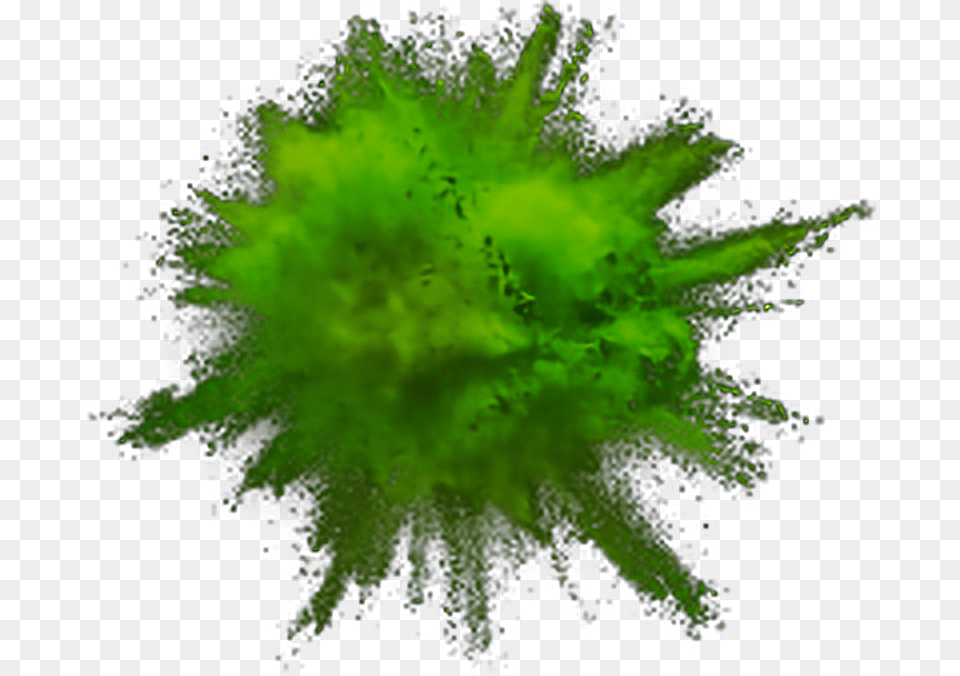 Red Powder Explosion, Algae, Green, Plant, Moss Png Image