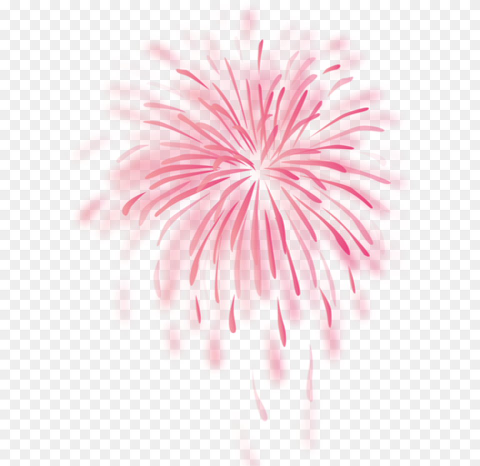 Red Present Box With Fireworks Clipartu200b Transparent Fireworks, Anther, Dahlia, Flower, Petal Png Image