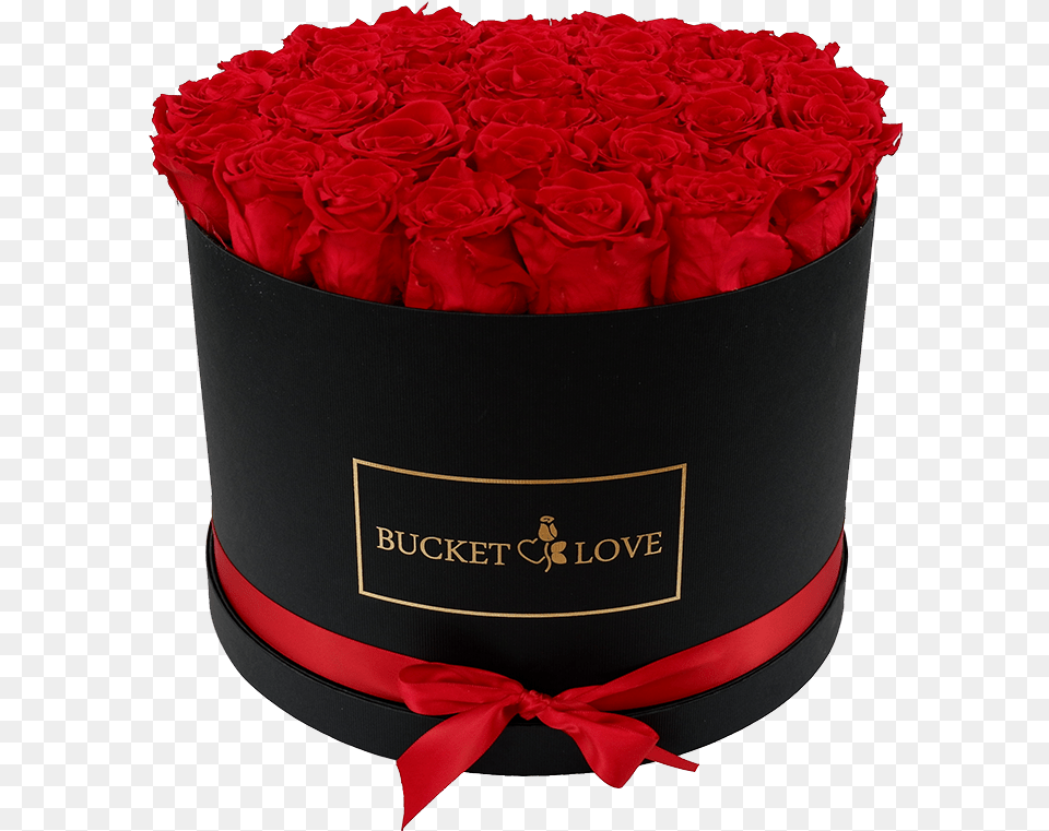 Red Preserved Flower Rose Box Mini Japan Forever Rose Box, Plant, Carnation, Petal, Flower Bouquet Free Png