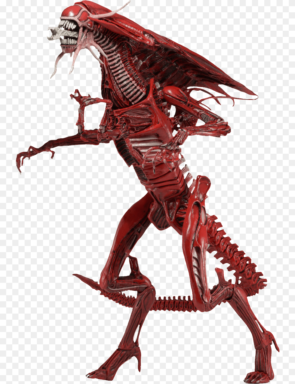 Red Queen Alien, Animal, Dinosaur, Reptile Free Transparent Png