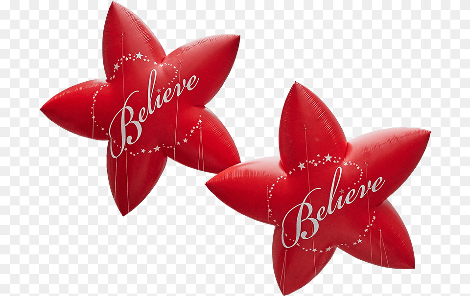 Red Quotbelievequot Stars Macy39s Believe, Flower, Plant, Animal, Fish Free Png Download