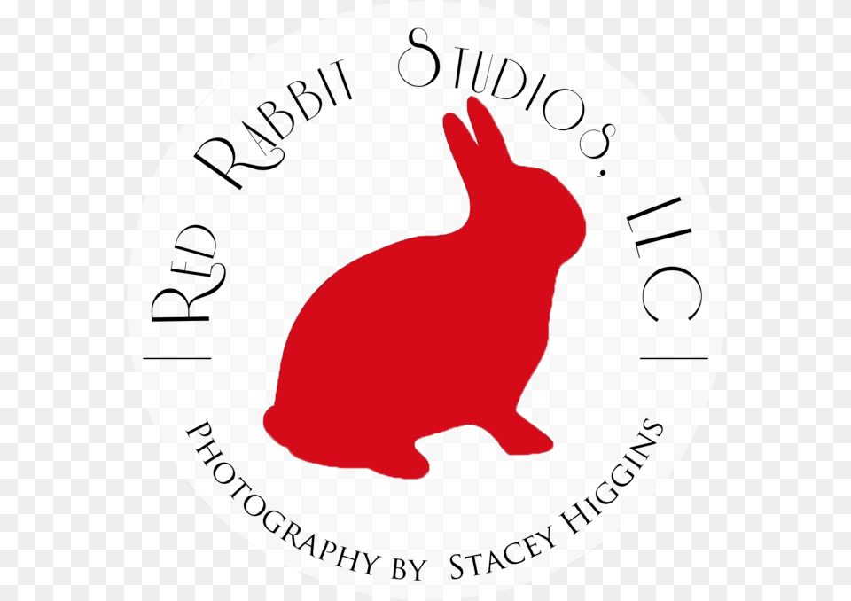 Red Rabbit Logo Rabbit, Animal, Mammal, Coin, Money Free Png