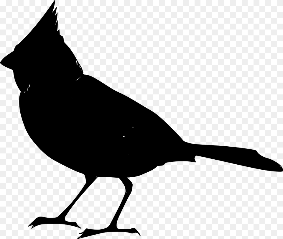 Red Robin Bird Cartoon, Gray Png Image