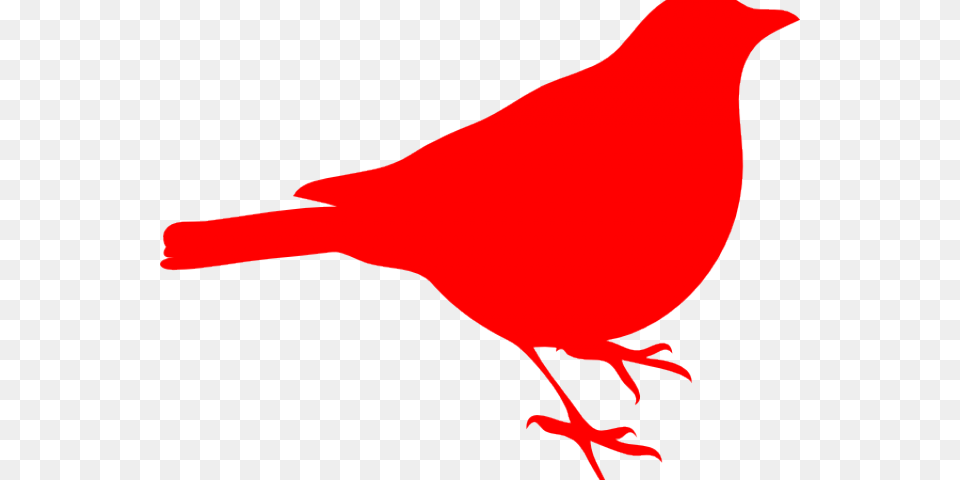 Red Robin Bird Cartoon, Animal Free Transparent Png