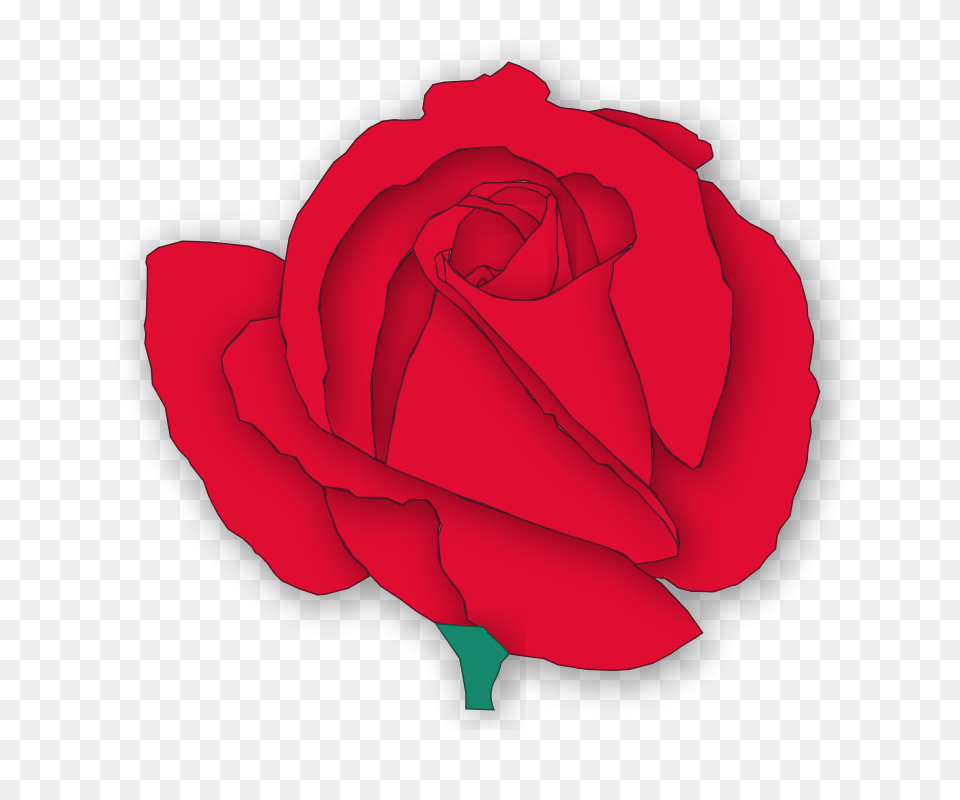 Red Rose, Flower, Plant Png Image