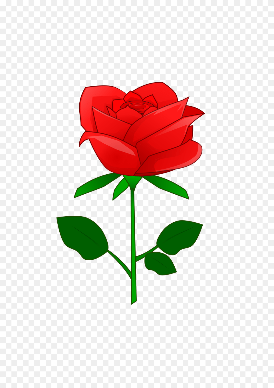 Red Rose, Flower, Plant Png