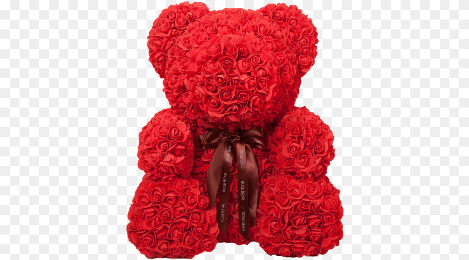 Red Rose Bear, Flower, Plant, Carnation, Cake Png