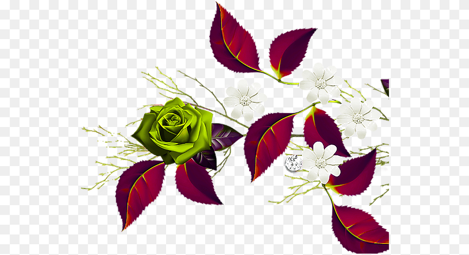 Red Rose Border 1 Copy Garden Roses, Flower Bouquet, Graphics, Plant, Flower Arrangement Free Png Download