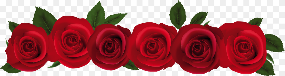 Red Rose Border Clip Art, Flower, Plant Free Png Download