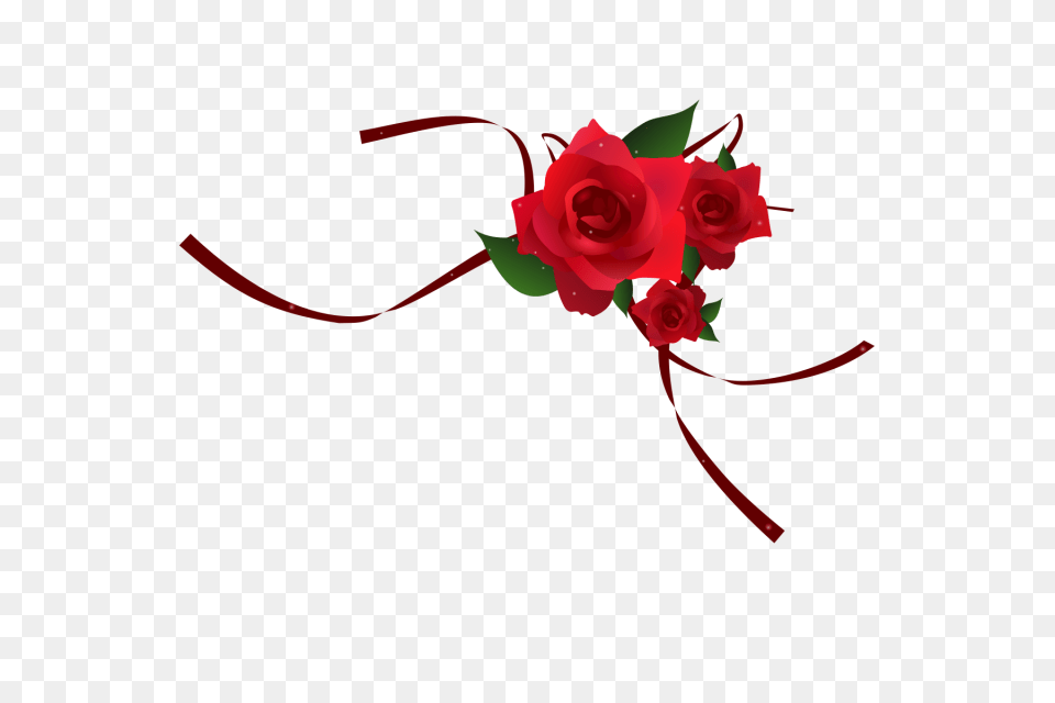 Red Rose Border Red Red Rose Red Rose Vector Flower, Flower Arrangement, Flower Bouquet, Plant Png Image