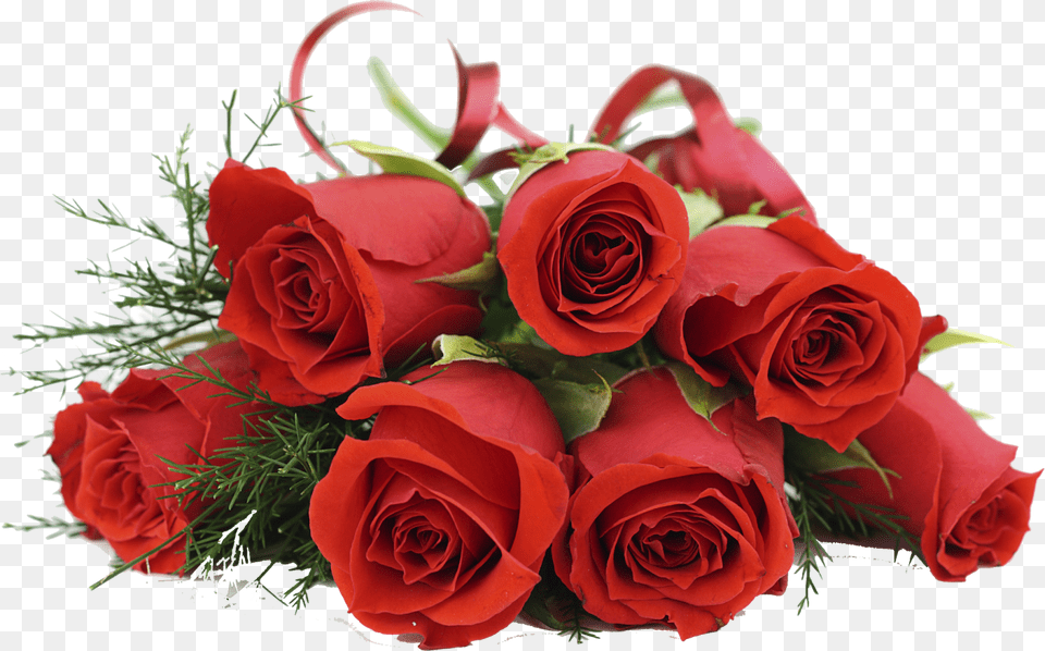 Red Rose Bouquet, Flower, Flower Arrangement, Flower Bouquet, Plant Free Transparent Png