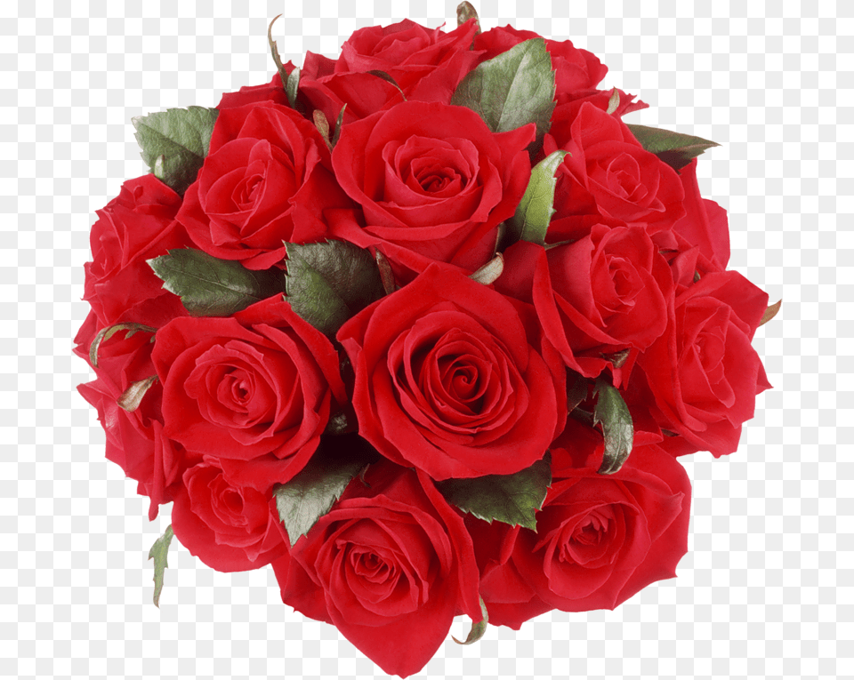 Red Rose Bouquet, Flower, Flower Arrangement, Flower Bouquet, Plant Png