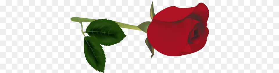 Red Rose Bud Clipart Bud Clipart, Flower, Plant, Appliance, Ceiling Fan Free Png