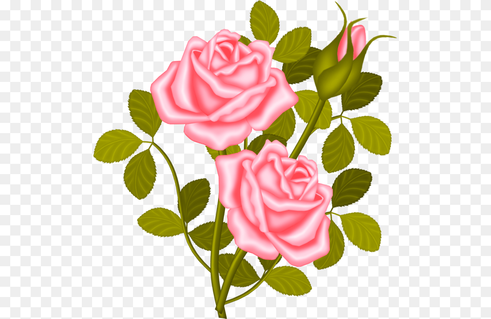 Red Rose Bush Clipart, Flower, Plant Png Image