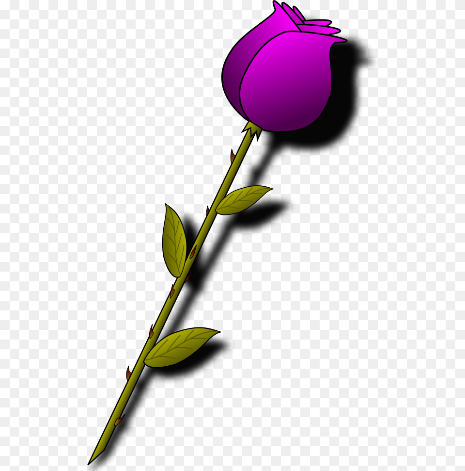 Red Rose Cartoon Valentines Day Roses Clipart, Flower, Petal, Plant, Purple Free Transparent Png