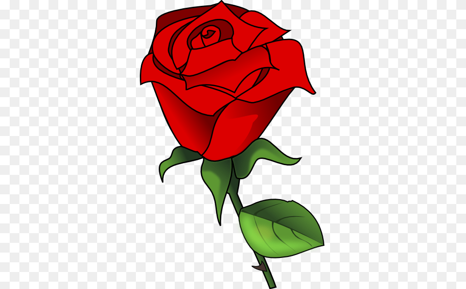 Red Rose Clip Art, Flower, Plant, Dynamite, Weapon Png