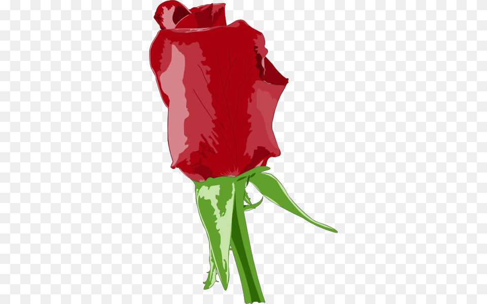Red Rose Clip Art, Flower, Plant, Adult, Female Free Png Download