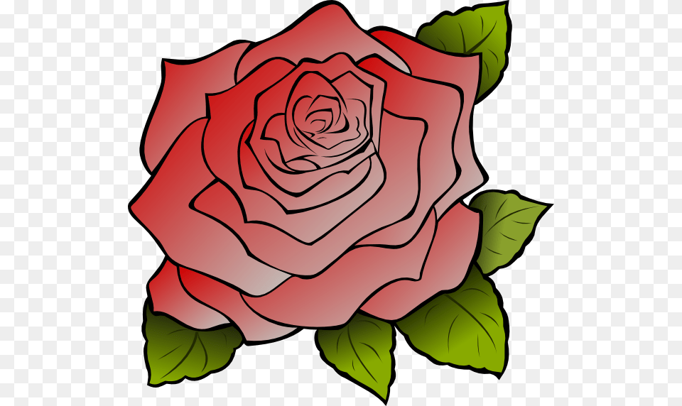 Red Rose Clip Art, Flower, Plant Free Transparent Png