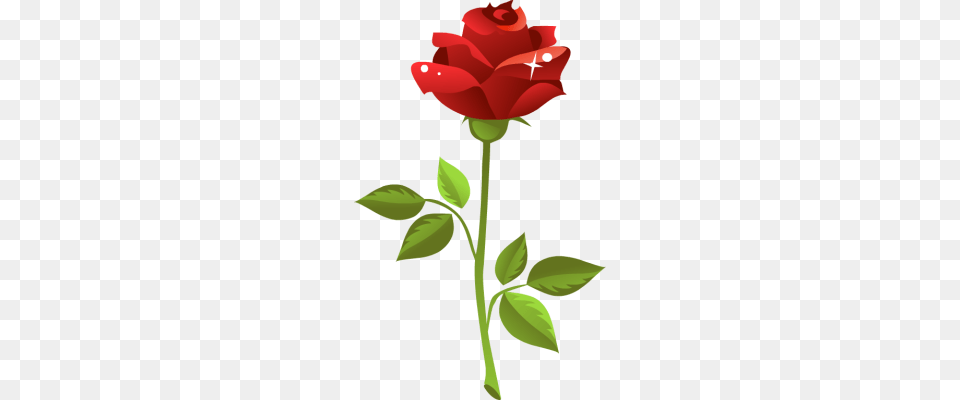 Red Rose Clip Art, Flower, Plant, Dynamite, Weapon Free Png Download