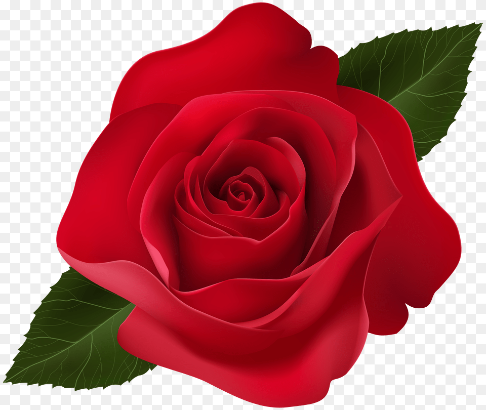 Red Rose Clip Art, Boat, Sailboat, Transportation, Vehicle Free Png