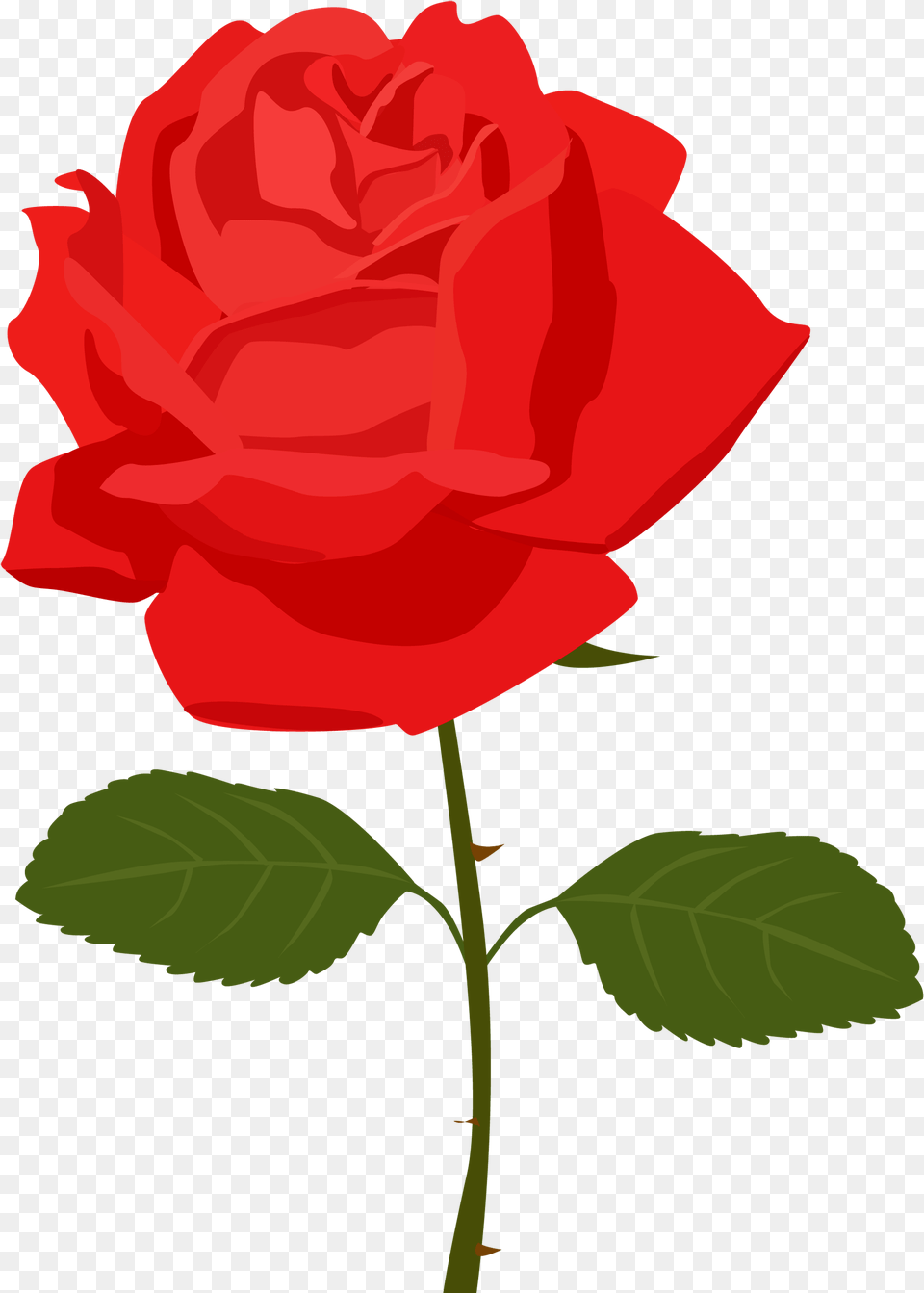 Red Rose Clip Art Flower, Plant Free Transparent Png