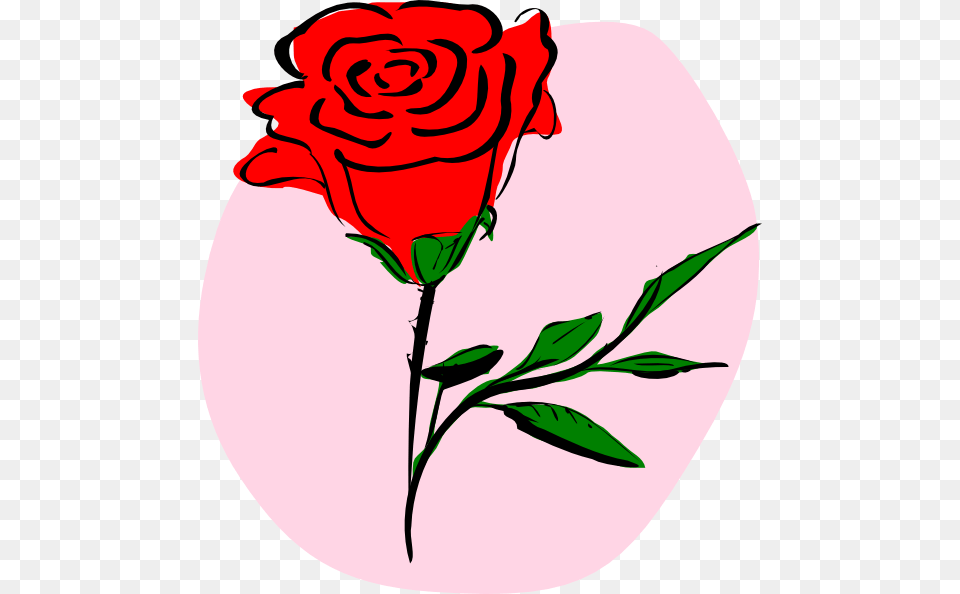 Red Rose Clip Art Vector, Flower, Plant Free Png