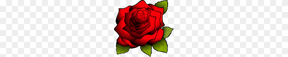Red Rose Clip Arts For Web, Flower, Plant, Dynamite, Weapon Png