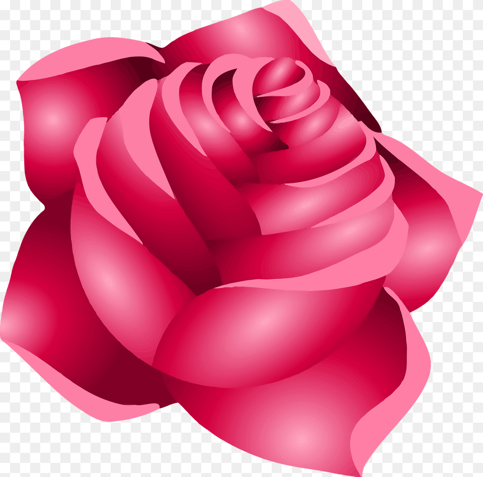 Red Rose Clipart, Flower, Petal, Plant Free Png